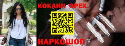 прущие крисы Гатчина