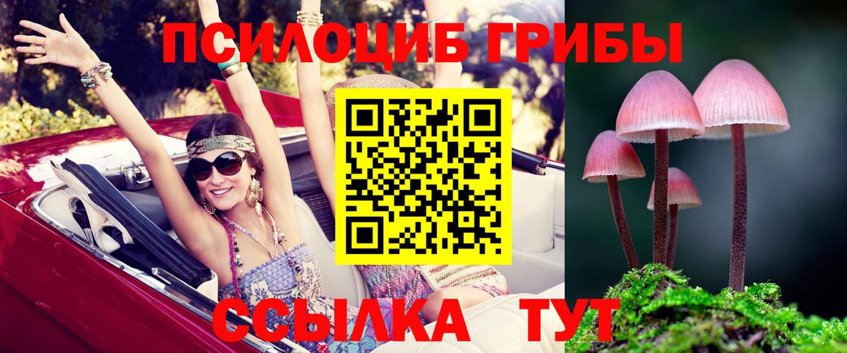 Псилоцибиновые грибы мицелий Истра