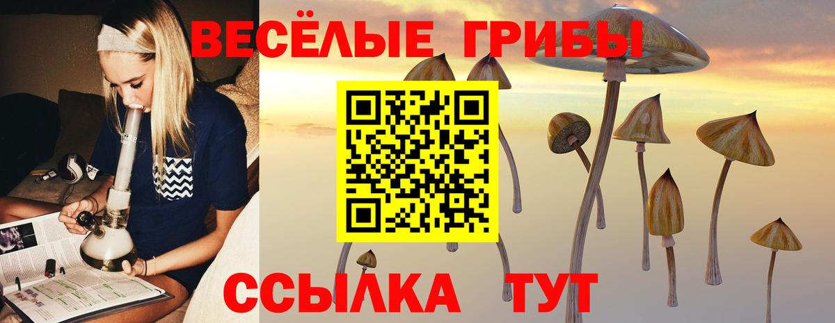 наркотики  Вход с VPN  Истра  Псилоцибиновые грибы ЛСД 